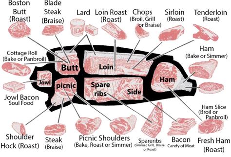 Parts Of Brisket Diagram Brisket Deckle Meat Chart Point Bee