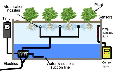 Aeroponic farming Overview - System, advantages | Farmer Scion