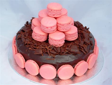 Vanilla Frost: Rich Chocolate and Pink Macaron Cake