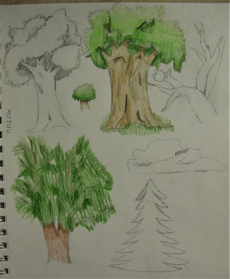 Environment Sketches – Trees – Key to the Future's Fate