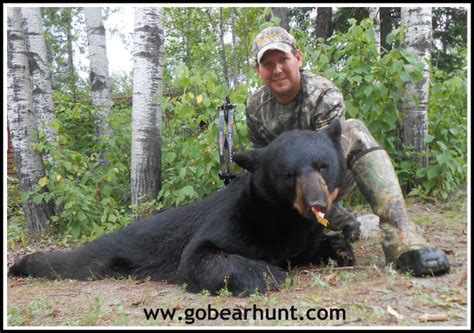 Ontario Bear Hunting Archives - Pickerel Lake Outfitters | Bear Hunting Trips in Northwest ...