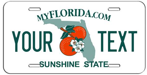 PERSONALIZED CUSTOM FLORIDA VANITY LICENSE PLATE AUTO TAG | eBay