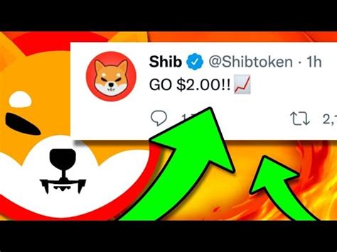 ??Shiba inu coin ?Big Update ?Crypto News Today in Hindi ☑️Shiba inu ...