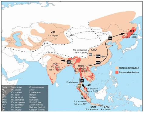 White Tiger Habitat Map