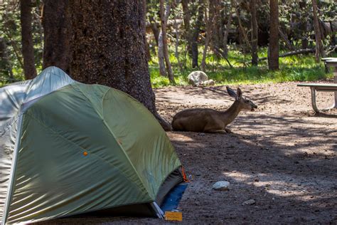 Tuolumne Meadows Campground — Yosemite National Park | Yosemite ...