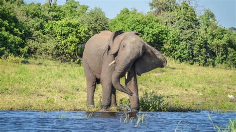 Botswana & Victoria Falls Adventure in Namibia, Africa - G Adventures