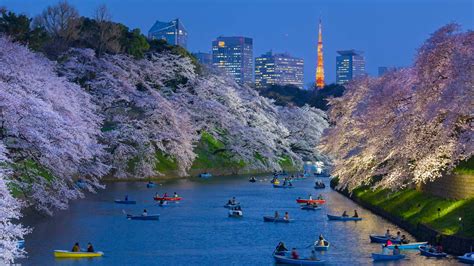 Tokyo Moat – Bing Wallpaper Download