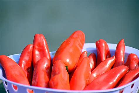 100+ Free Jalapeno & Food Images