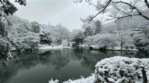 Tokyo might get its first snowfall of 2023 on Tuesday January 24