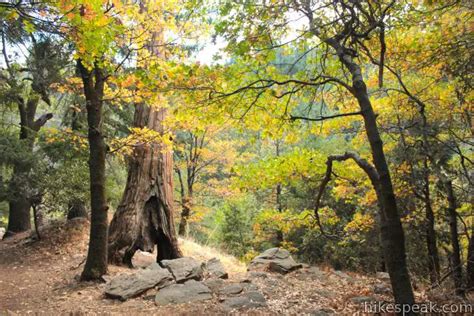 Heart Rock Trail | San Bernardino Mountains | Hikespeak.com