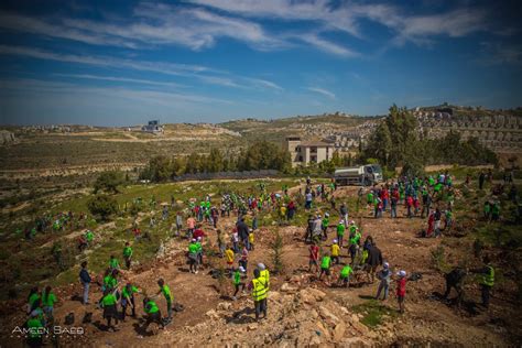 Ramallah, Palestine | Wellbeing Cities Finalist - NewCities