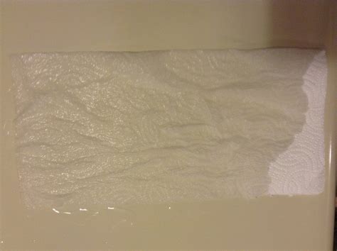 Results - Which brand of paper towel absorbs the most water