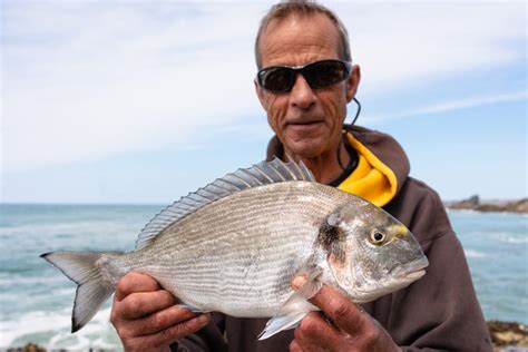 Improve Your Gilthead Fishing - With Martin Larkin