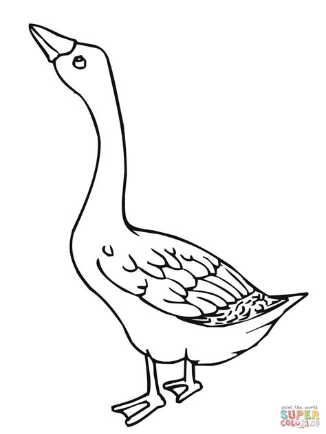 Baby Goose Coloring Page - Coloring Home