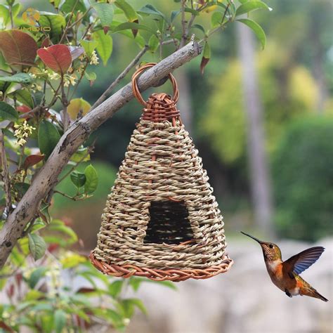 Easy Diy Hummingbird House - Classic And Safe Hummingbird Nectar Recipe ...