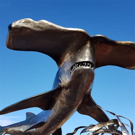 Metal Hammerhead Shark Sculpture – The Bunker Art Gallery