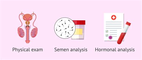 Basic male fertility tests