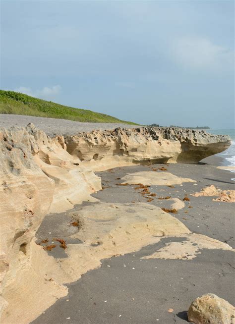 Blowing Rocks Preserve | Florida Hikes!