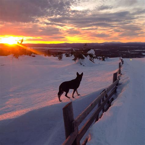 Landscape in Levi, Lapland Photo by @Vipula1 | Lapland, Breathtaking views, Deep winter