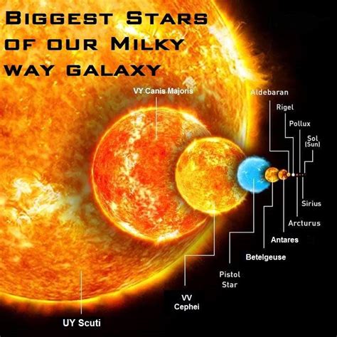 Biggest Stars of Our Milky Way are Galaxy Sun | Sirius B | Pollux star | Arcturus star ...