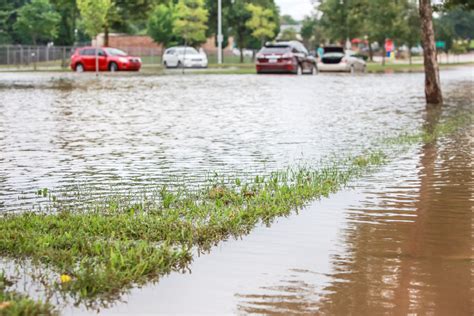 Don't Go Near Flooded Stormwater Drains - The Plumbette