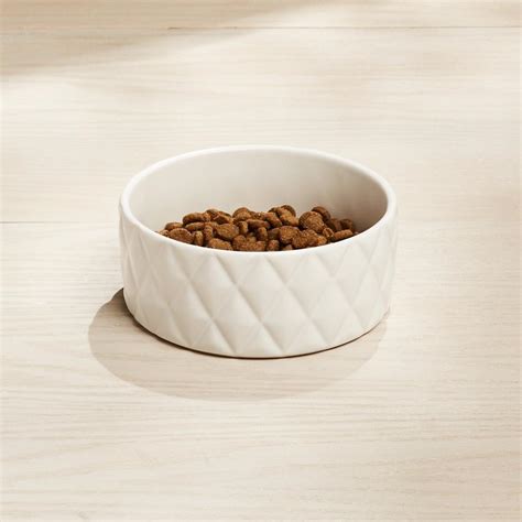 Eco-Friendly Pet Products - Sustainable Pet Products | HGTV