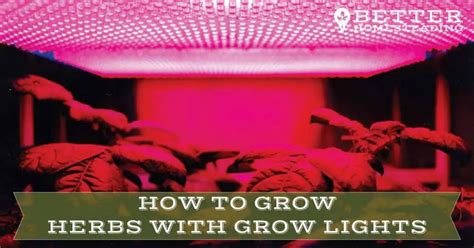 Tips On How To Grow Herbs With Grow Lights [A BEGINNER'S GUIDE]