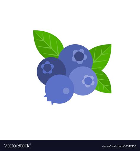 Bunch of blueberry Royalty Free Vector Image - VectorStock