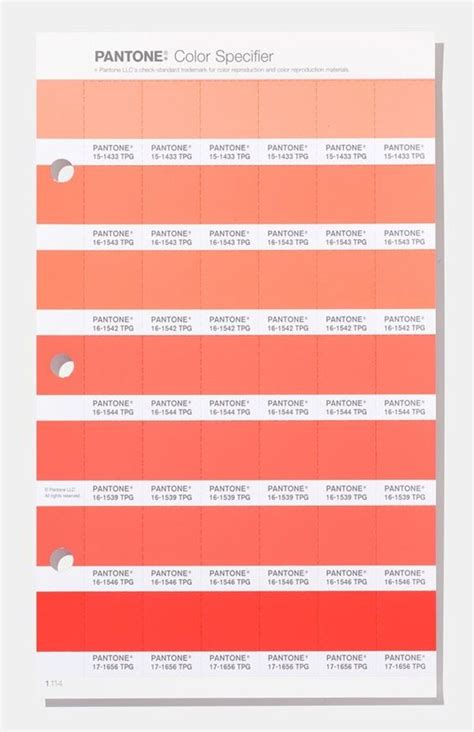 Looking Good Pantone Living Coral Photoshop Pantones Colors