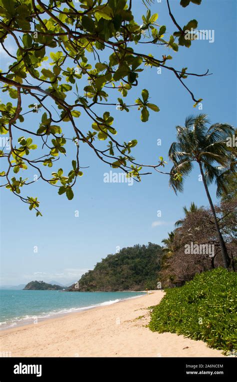 Trinity Beach, north of Cairns, North Queensland, Australia Stock Photo - Alamy