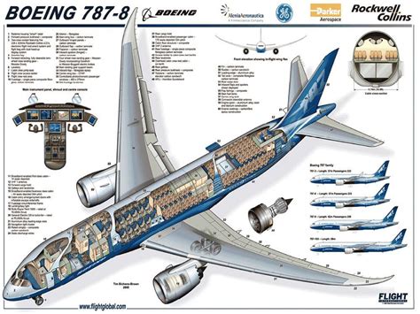 Boeing 787-800 Dreamliner - 2019