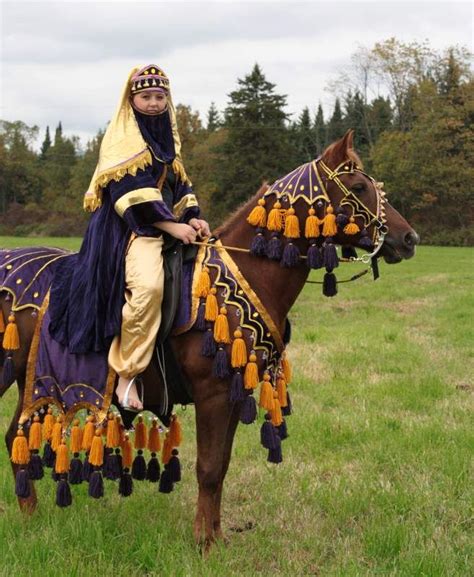 Costumes For Sale | Arabian horse costume, Horse costumes, Arabian horse