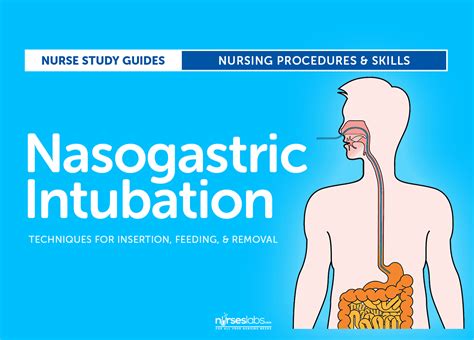 Coherent Sociology Established theory nasogastric tube lubricant fret casualties To construct