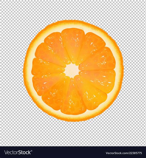 Orange slice with transparent background Vector Image