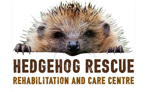 Hedgehog Rescue is fundraising for Farplace Animal Rescue