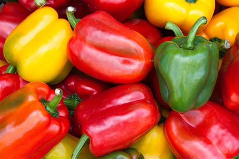 Growing Bell Peppers: From Planting to Harvest | The Old Farmer's Almanac