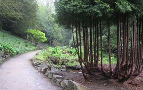 Lyme Park walk - Peak District - Walking Country