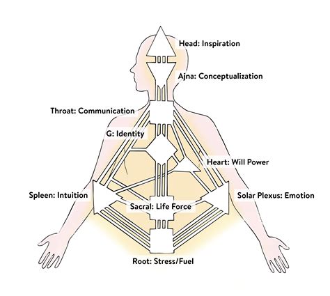 Human Design Types - Learn How To Read Your Chart | goop