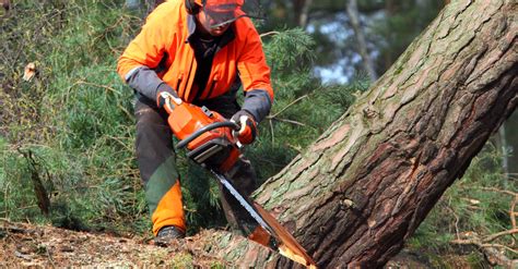 Injury Prevention Within the Logging Industry | Work-Fit Blog