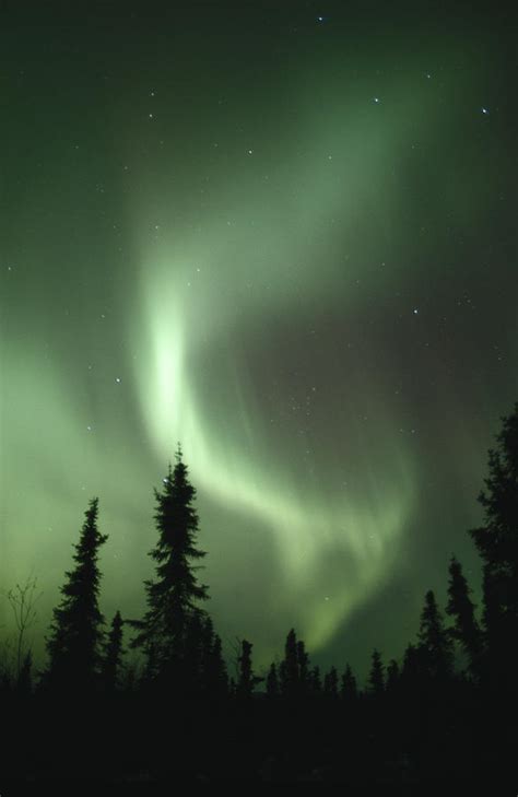 Usa, Alaska, Fairbanks, Aurora Borealis by Ron Crabtree