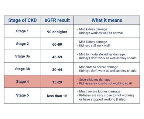 Chronic Kidney Disease Stages