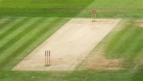 Cricket pitch constructions manufacturers in delhi | cricket turf pitch construction