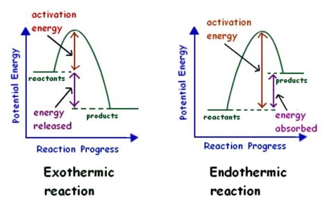 What are Endothermic Reactions? (with Examples & Video)