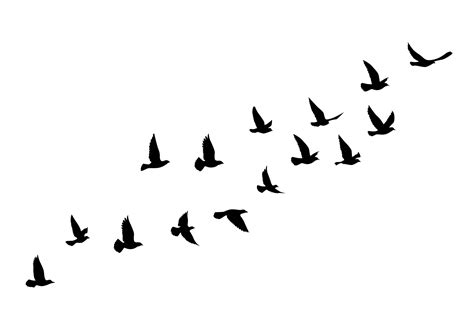 Flying birds silhouettes on white background. Vector illustration ...