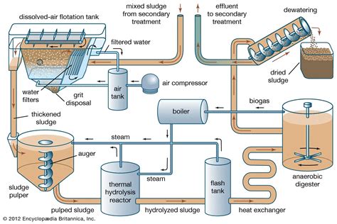 Primary Treatment of Sewage: How Does It Work and Why Is It Important?