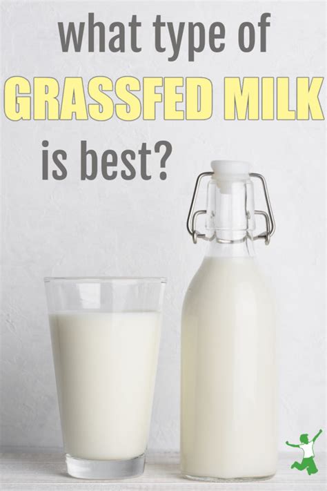 Which Type of Grassfed Milk is Best? | Healthy Home Economist