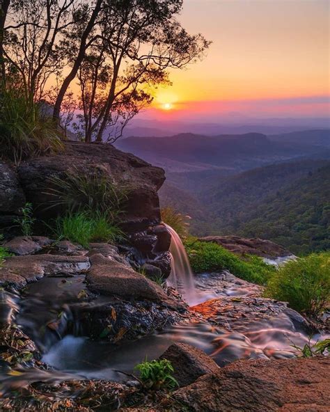 O'Reilly's Rainforest Retreat on Instagram: “Nature's light show at the ...