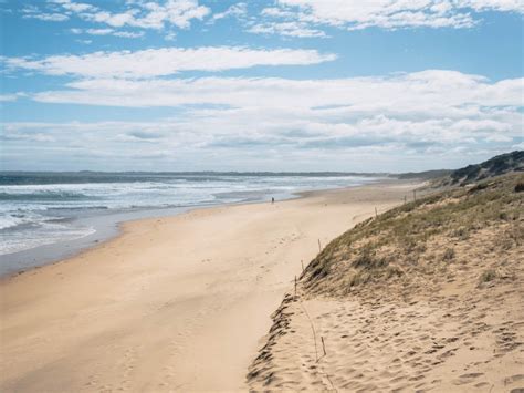 Guide to the Cape Woolamai Circuit Walk on Phillip Island - Beyond Wild ...