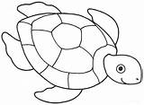 25  Amazing Turtle Coloring Pages sketch template