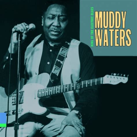 Muddy Waters - Live Album Reviews, Songs & More | AllMusic